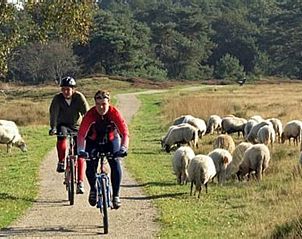 Guest house 201017 - Holiday property Zuidwest Drenthe - Huisje in Wapserveen