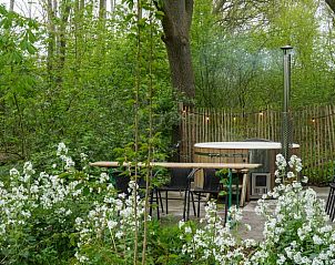 Moderne keuken in Vakantiehuisje in Dwingeloo, Zuidwest Drenthe, met eethoek en kunst aan de muur.