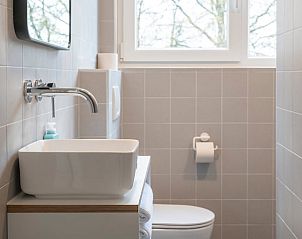 Stijlvolle badkamer in Vakantiehuisje in Dwingeloo, Zuidwest Drenthe, met moderne wastafel en toilet.