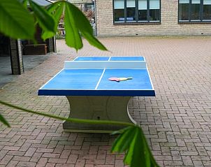 Tafeltennistafel in de buitenruimte van Vakantiehuisje in Dwingeloo, Drenthe, voor sportieve ontspanning.