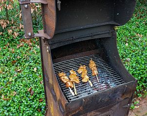 Barbecue met gegrilde spiesjes bij Vakantiehuisje in Dwingeloo, Zuidwest Drenthe, voor heerlijke maaltijden.