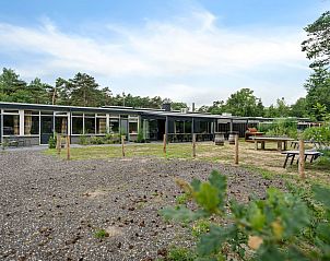 Groepsaccommodatie de Komeet in Dwingeloo biedt een ruim vakantiehuis met terras en uitzicht op de natuur in Zuidwest Drenthe.
