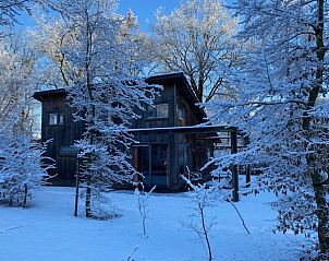 Natrliche Umgebung bei DG567 in Dwingeloo, Drenthe, mit Holzsteg ber ppiges Marschland.