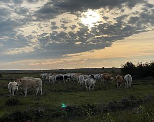 Moderne Kche des Ferienhauses DG567 in Dwingeloo, Drenthe mit Essecke und groen Fenstern.