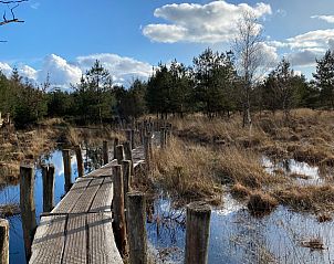 Winterlicher Charme des Ferienhauses DG567 in Dwingeloo, Drenthe, umgeben von verschneiten Bumen.