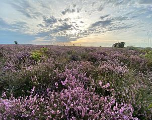 Modernes Badezimmer mit Dusche im Ferienhaus DG567 in Dwingeloo, Drenthe.