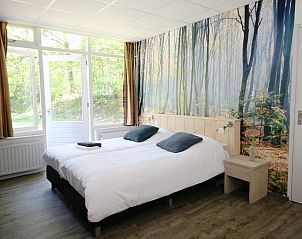 Sfeervolle slaapkamer in Groepsaccommodatie de Komeet, Dwingeloo, Zuidwest Drenthe, met bosrijk behang en uitzicht op de natuur.