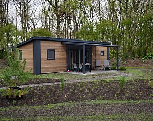 Guest house 201211 • Holiday property Zuidwest Drenthe • Vakantietent B 