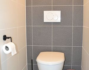 Netjes toilet in Vakantiehuis in Dwingeloo, Drenthe met stijlvolle afwerking.