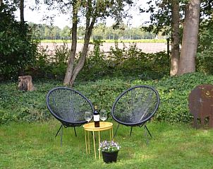 Rustige tuinomgeving van Vakantiehuis in Dwingeloo, Zuidwest Drenthe met wijngaard.