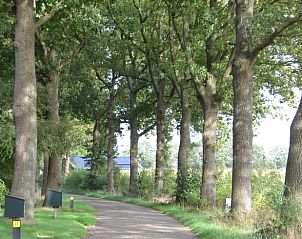 Prachtige natuur rondom Vakantiehuis in Dwingeloo, Drenthe met wandelpaden.