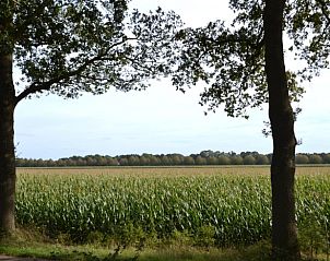 Landelijk uitzicht nabij Vakantiehuis in Dwingeloo, Drenthe met uitgestrekte velden.