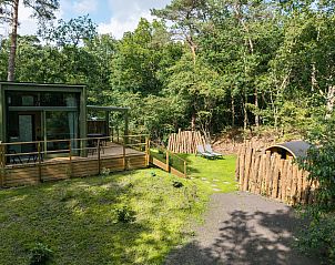 Tiny Houselodge Eris met sauna in Dwingeloo, Drenthe, biedt een serene glamping ervaring met terras in groene omgeving.