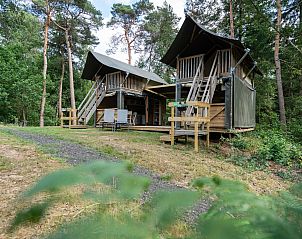 Guest house 2012116 - Tent house Zuidwest Drenthe - Safaritent Hydra