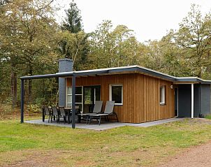 Bungalow Saturnus in Dwingeloo, Zuidwest Drenthe. Geniet van het terras en de natuurlijke omgeving van dit vakantiehuis.