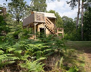 Guest house 201233 - Tent house Zuidwest Drenthe - Safaritent Poolster