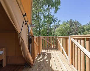 Guest house 201233 - Tent house Zuidwest Drenthe - Safaritent Poolster