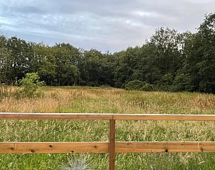 Uitzicht vanaf het terras van Vakantiehuis in Dwingeloo, met weidse natuur.