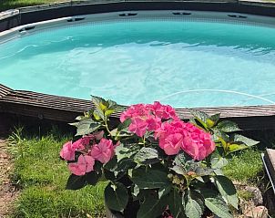 Verblijf 201253 - Vakantiewoning Zuidwest Drenthe - Vakantiehuis in Dwingeloo