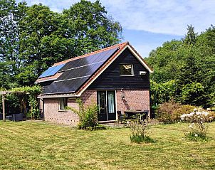 Vakantiehuis DG603 in Dwingeloo, Zuidwest Drenthe, met bloeiende struiken en groene omgeving.