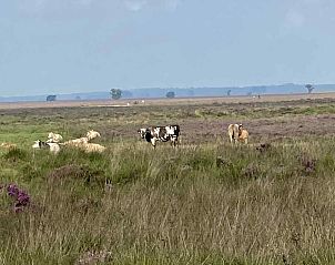 Slaapkamer in vakantiehuis DG603, Dwingeloo, Zuidwest Drenthe, met openslaande deuren naar de tuin.