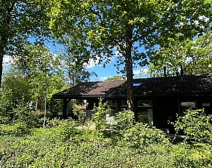 Huisje in Dwingeloo, vakantiehuis omringd door groen in Zuidwest Drenthe.