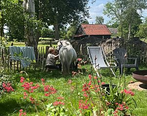 Landelijke tuin bij Huisje in Dwingeloo, vakantiehuis in Zuidwest Drenthe.