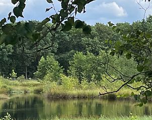 Natuurrijke omgeving bij Huisje in Dwingeloo, vakantiehuis in Zuidwest Drenthe.