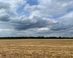 Uitgestrekt veld nabij Huisje in Dwingeloo, vakantieverblijf in Drenthe.