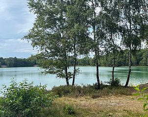 Bomen en meer in de buurt van Huisje in Dwingeloo, vakantiehuis Drenthe.