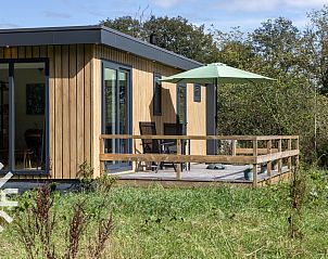 Uitzicht vanaf het terras van DG1576 vakantiehuis in Dwingeloo, Zuidwest Drenthe.