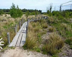 Wandelpad in de nabijheid van DG1576 vakantiehuis, Dwingeloo, Zuidwest Drenthe.