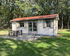 Buitenaanzicht van Kampeerchalet de Avondster met terras in Dwingeloo, Zuidwest Drenthe.
