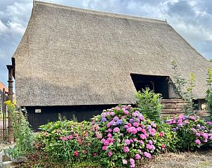 Unterkunft 201286 • Ferienhaus Zuidwest Drenthe • Huisje in Dwingeloo 