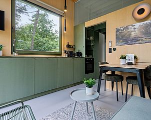 Verblijf 201289 - Vakantiewoning Zuidwest Drenthe - Tiny House Eris met sauna