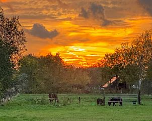 Verblijf 201293 - Vakantiewoning Zuidwest Drenthe - Huisje in Dwingeloo
