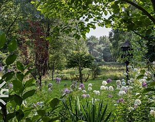 Guest house 201308 - Holiday property Zuidwest Drenthe - DG1780