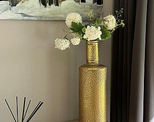 Guest house 201310 - Holiday property Zuidwest Drenthe - Huisje in Pesse