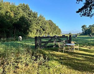 Unterkunft 201409 - Ferienhaus Zuidwest Drenthe - Vakantiehuis in Ruinerwold