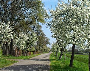 Unterkunft 201413 - Ferienhaus Zuidwest Drenthe - DG2051