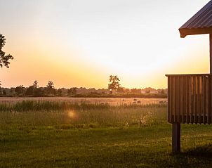 Genieen Sie den Sonnenuntergang von der Veranda des Ferienhauses in Ruinerwold, umgeben von der Natur von Sd-West-Drenthe, Drenthe.