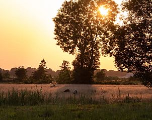 Unterkunft 201417 - Ferienhaus Zuidwest Drenthe - Vakantiehuis in Ruinerwold