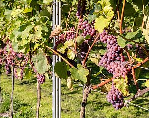 Unterkunft 201420 - Ferienhaus Zuidwest Drenthe - Vakantiehuis in Ruinerwold