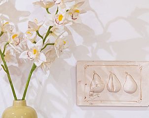 Unterkunft 201429 - Ferienhaus Zuidwest Drenthe - Vakantiehuis in Ruinerwold