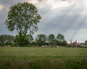 Unterkunft 201446 - Ferienhaus Zuidwest Drenthe - DG969
