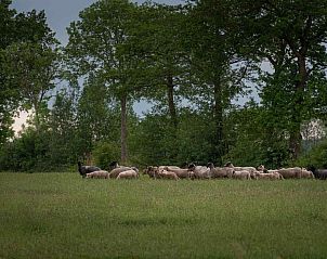 Unterkunft 201447 - Ferienhaus Zuidwest Drenthe - DG970