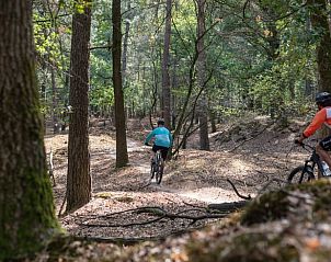 Unterkunft 201502 - Chalet Zuidwest Drenthe - Vakantiehuisje in Zorgvlied