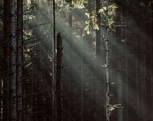 Unterkunft 201502 - Chalet Zuidwest Drenthe - Vakantiehuisje in Zorgvlied