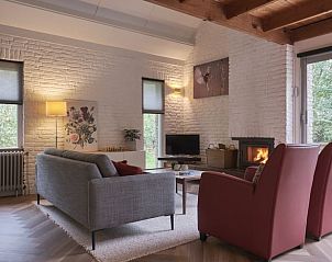 Gezellige woonkamer in Vakantiehuisje in Zorgvlied, Zuidwest Drenthe, met open haard en comfortabele zitplaatsen voor een ontspannen verblijf.