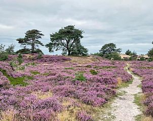 Verblijf 201505 - Vakantiewoning Zuidwest Drenthe - Vakantiehuisje in Zorgvlied